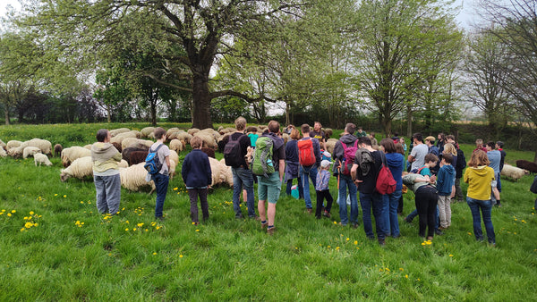Tenenwol : transhumance softtronic