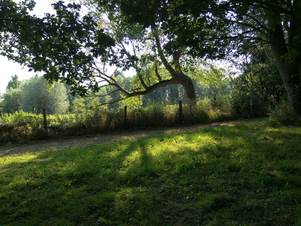 Wolweek : Ontdek de magie van wol in een wolatelier - Herbalana