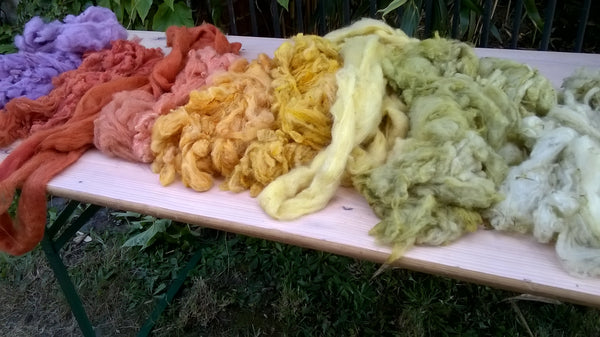 Plantaardig verven : ontdek de wonderlijke kleuren uit planten