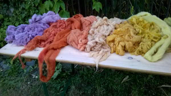 Plantaardig verven : ontdek de wonderlijke kleuren uit planten