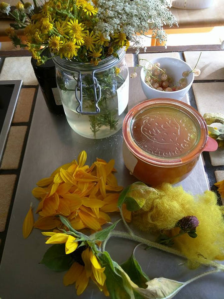 Spinwol  Primavera rose pakket
