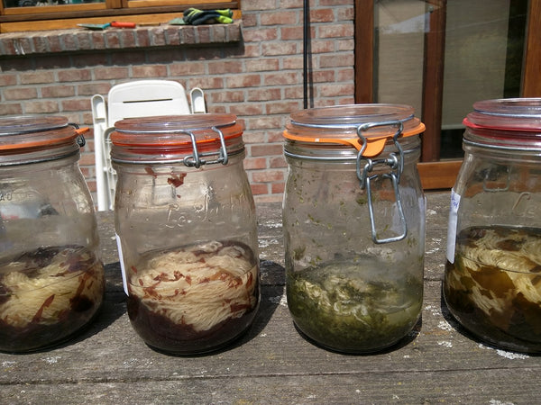 Natuurlijke verfstoffen, bloemen en zaden als basis voor je herstelprojecten - Herbalana