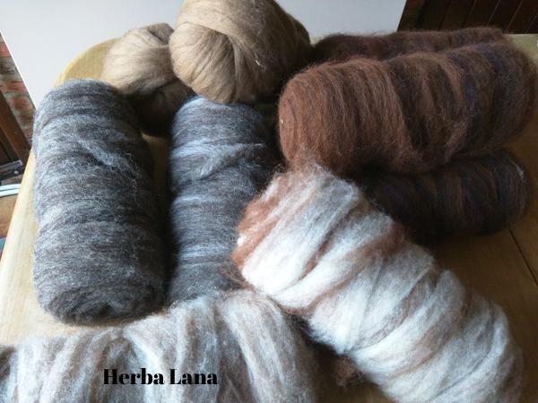 Lontwol 100 % lokale wol - Herbalana