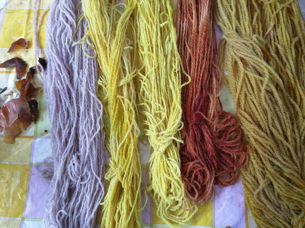 Speeddating plantaardig verven - Herbalana