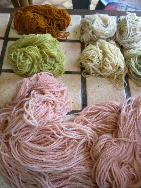 Speeddating plantaardig verven - Herbalana