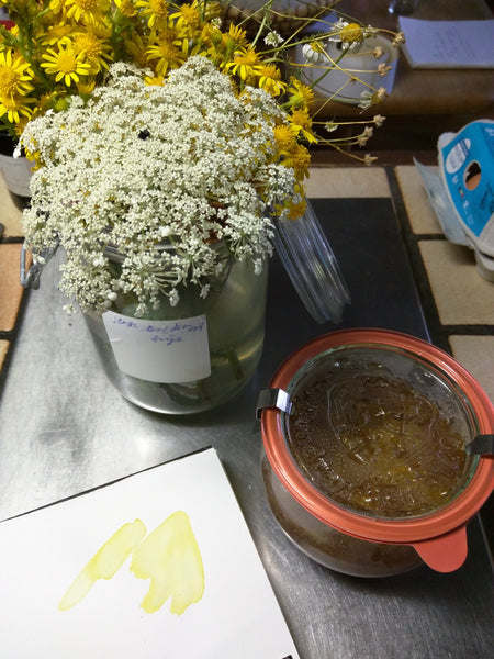 Natuurlijke verfstoffen, bloemen en zaden als basis voor je herstelprojecten - Herbalana