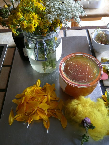 Natuurlijke verfstoffen, bloemen en zaden als basis voor je herstelprojecten - Herbalana