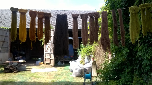 Plantaardig verven "grand teint" met lokale planten : tweedaagse - Herbalana