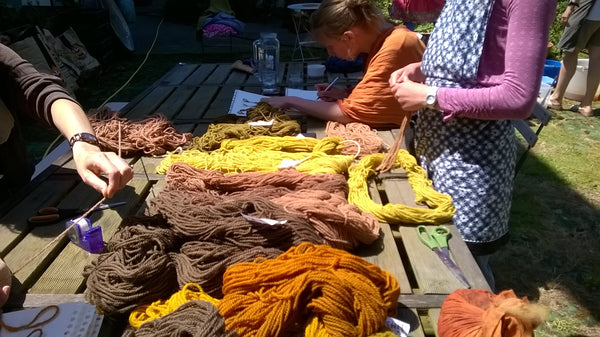 Plantaardig verven "grand teint" met lokale planten : tweedaagse - Herbalana