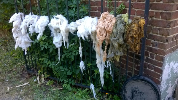 Plantaardig verven "grand teint" met lokale planten : tweedaagse - Herbalana