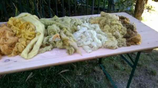 Plantaardig verven "grand teint" met lokale planten : tweedaagse - Herbalana